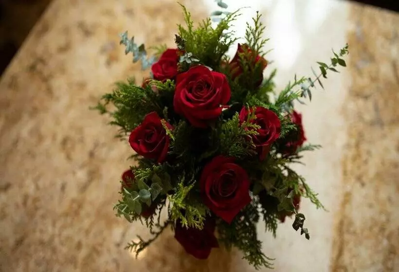 هتل Valentin Imperial Riviera Maya All Inclusive   Adults Only