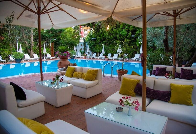 فندق Vila Belvedere