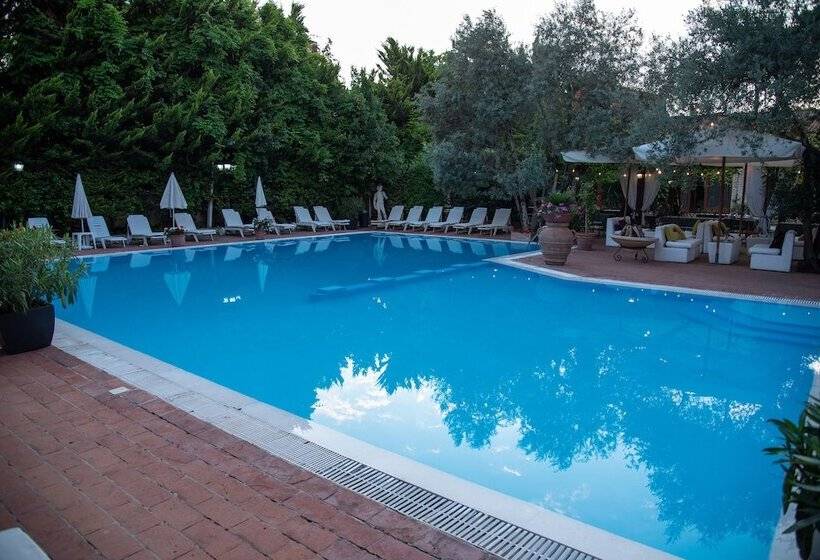 فندق Vila Belvedere