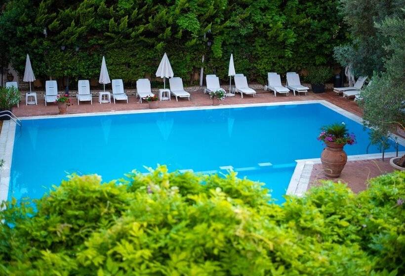 فندق Vila Belvedere