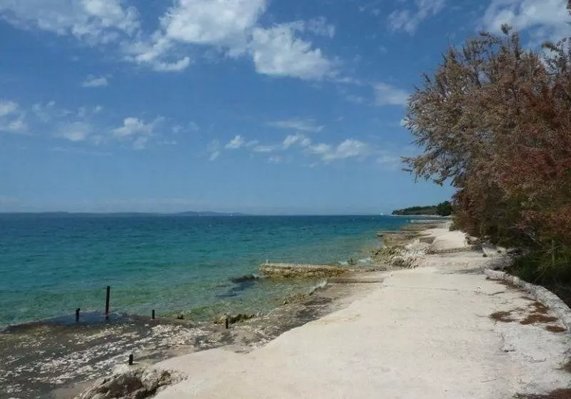 酒店 Apartmani Zubcic