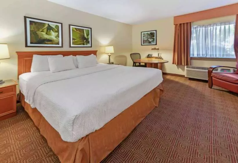 هتل La Quinta By Wyndham Tampa Brandon West