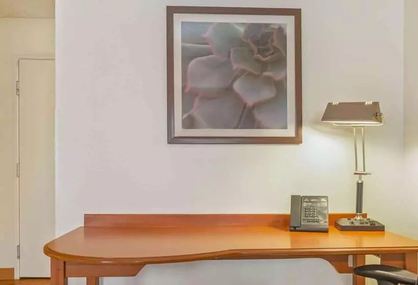 هتل La Quinta By Wyndham Tampa Brandon West