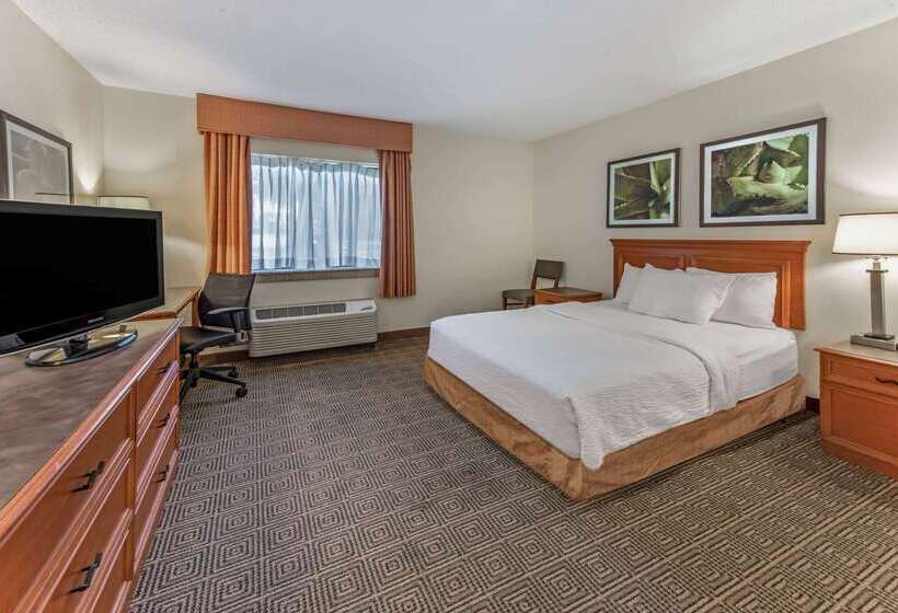 ホテル La Quinta By Wyndham Tampa Brandon West