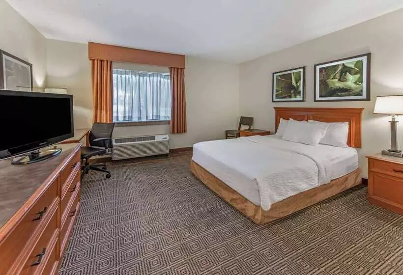 هتل La Quinta By Wyndham Tampa Brandon West