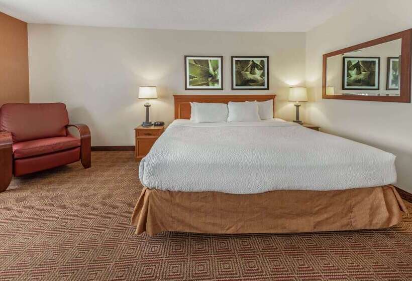 ホテル La Quinta By Wyndham Tampa Brandon West