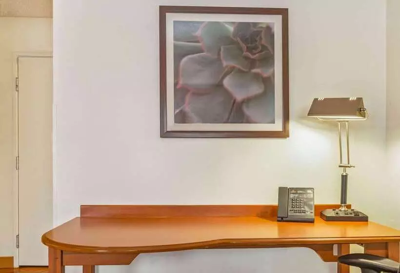 هتل La Quinta By Wyndham Tampa Brandon West