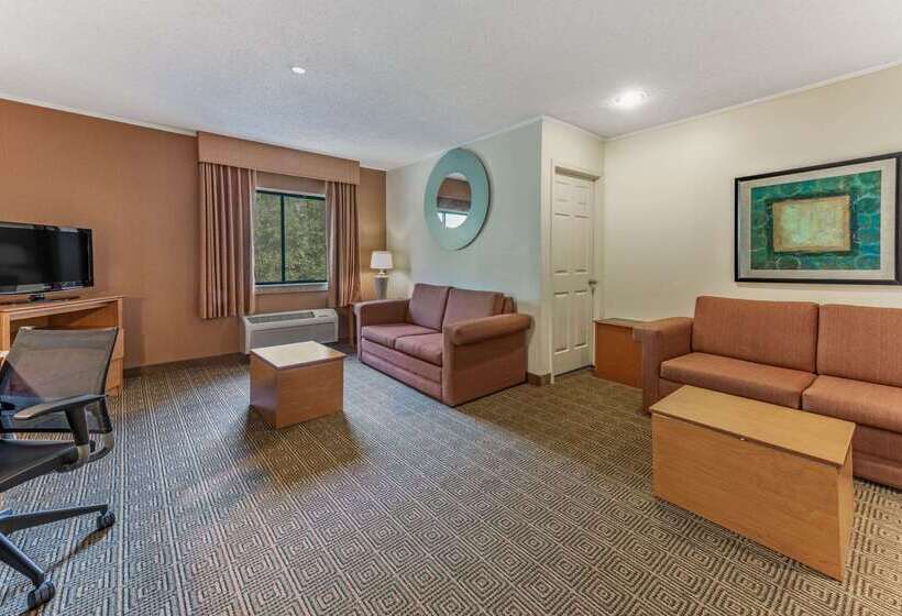 ホテル La Quinta By Wyndham Tampa Brandon West