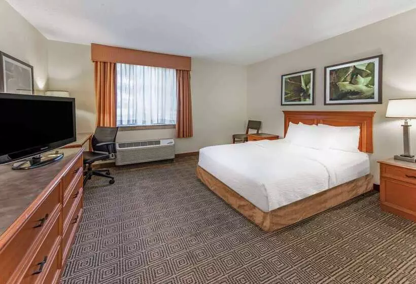 هتل La Quinta By Wyndham Tampa Brandon West