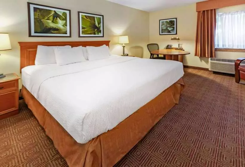 هتل La Quinta By Wyndham Tampa Brandon West