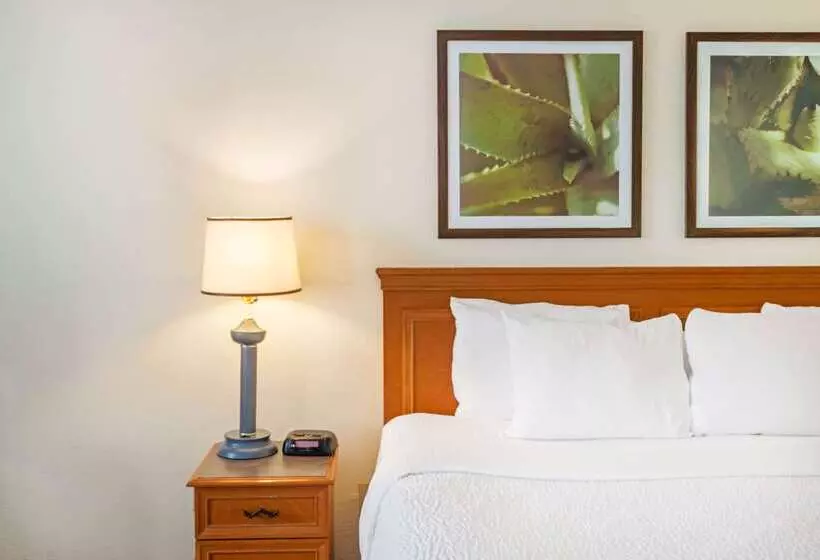 هتل La Quinta By Wyndham Tampa Brandon West