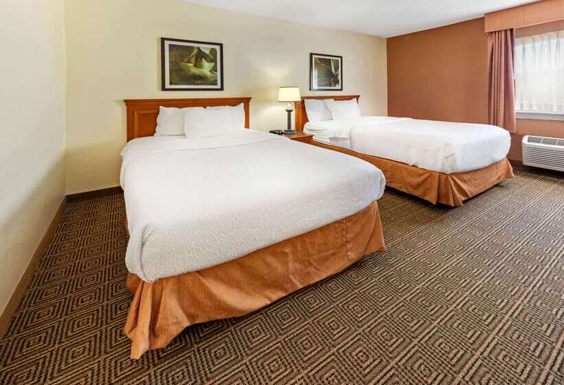 ホテル La Quinta By Wyndham Tampa Brandon West