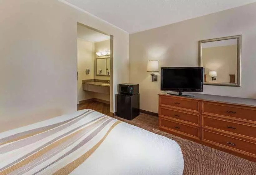 هتل La Quinta By Wyndham Tampa Brandon West