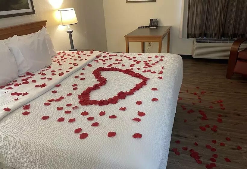 هتل La Quinta By Wyndham Tampa Brandon West