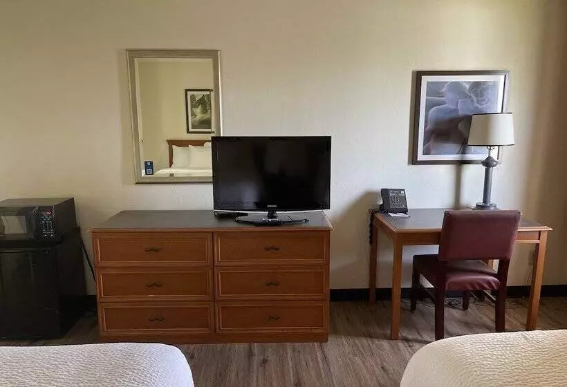 هتل La Quinta By Wyndham Tampa Brandon West