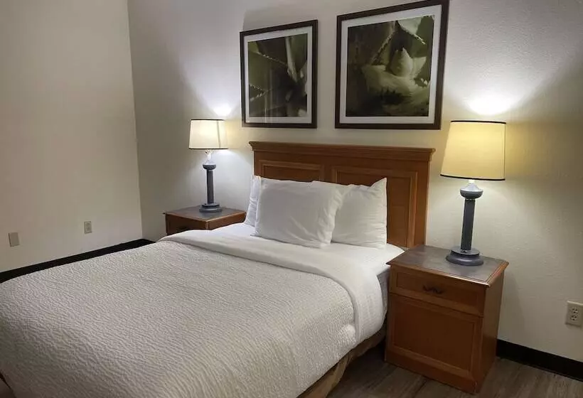 هتل La Quinta By Wyndham Tampa Brandon West