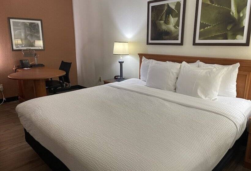 ホテル La Quinta By Wyndham Tampa Brandon West