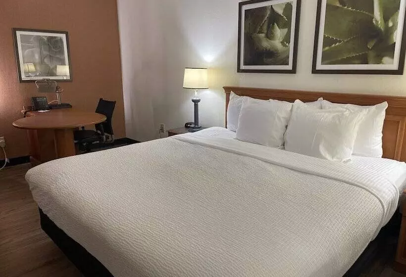 هتل La Quinta By Wyndham Tampa Brandon West