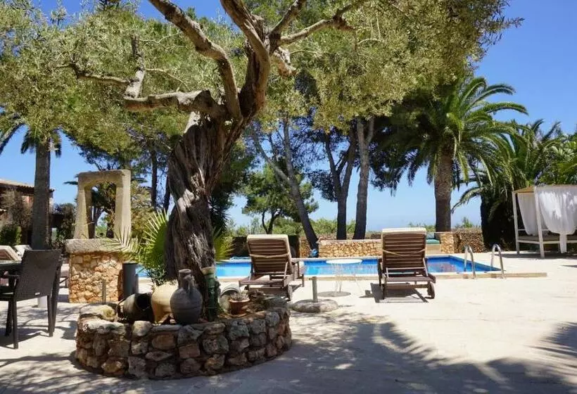 فندق ريفى Agroturismo Sa Pletassa