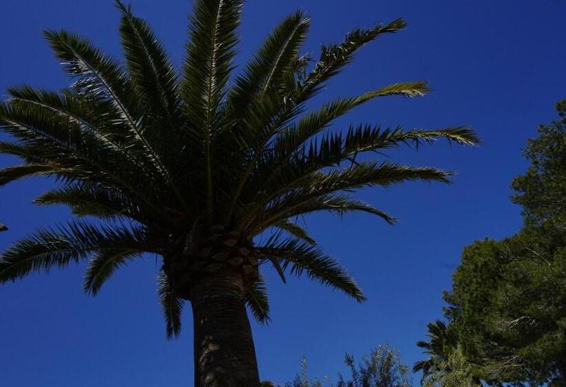 בית מלון כפרי Agroturismo Sa Pletassa