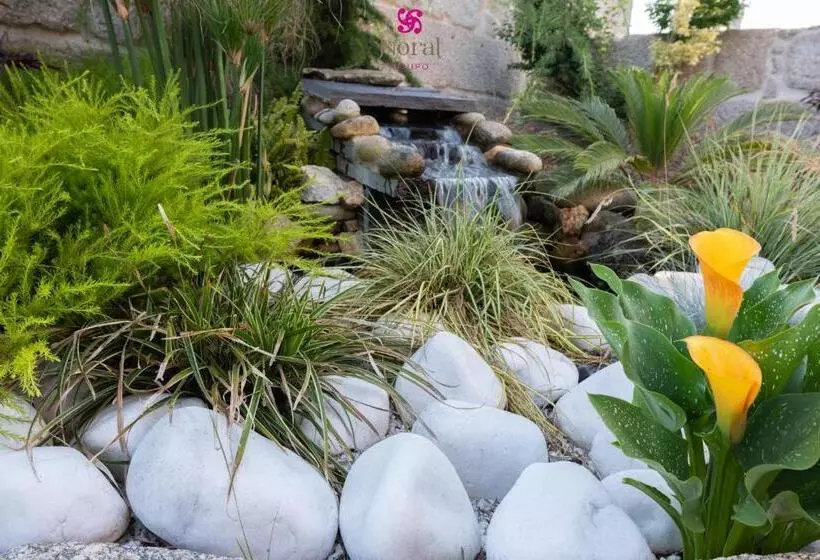 펜션 Nuevo Norat Sanxenxo