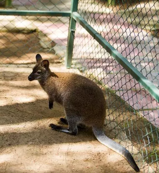 Resort Bellis Deluxe Hotel & Heated For Winter Aqua Park