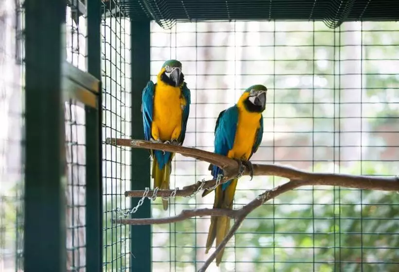 Resort Bellis Deluxe Hotel & Heated For Winter Aqua Park