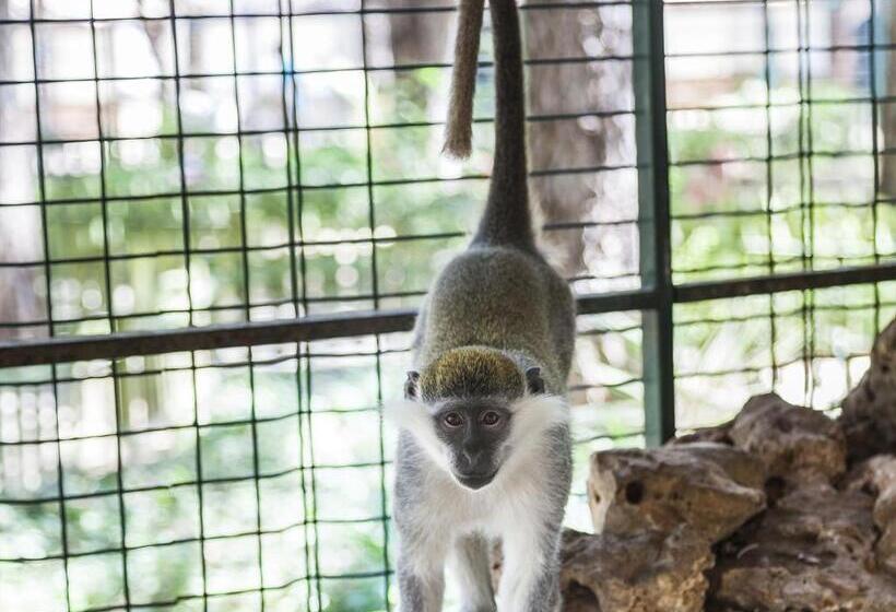 リゾートホテル Bellis Deluxe Hotel & Heated For Winter Aqua Park