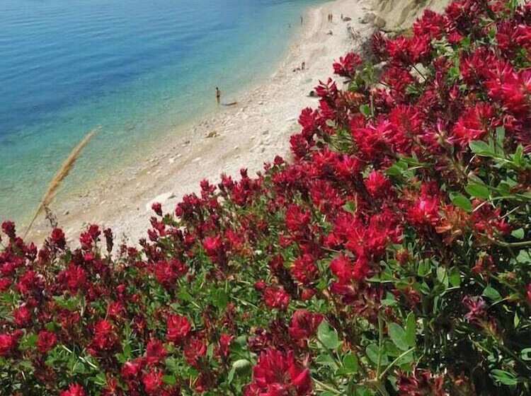 فندق Camping Village Riviera