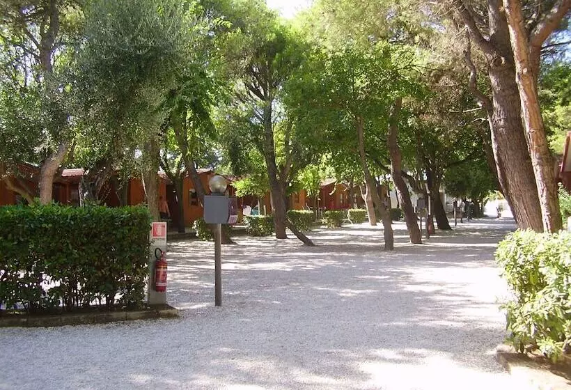 호텔 Camping Village Riviera