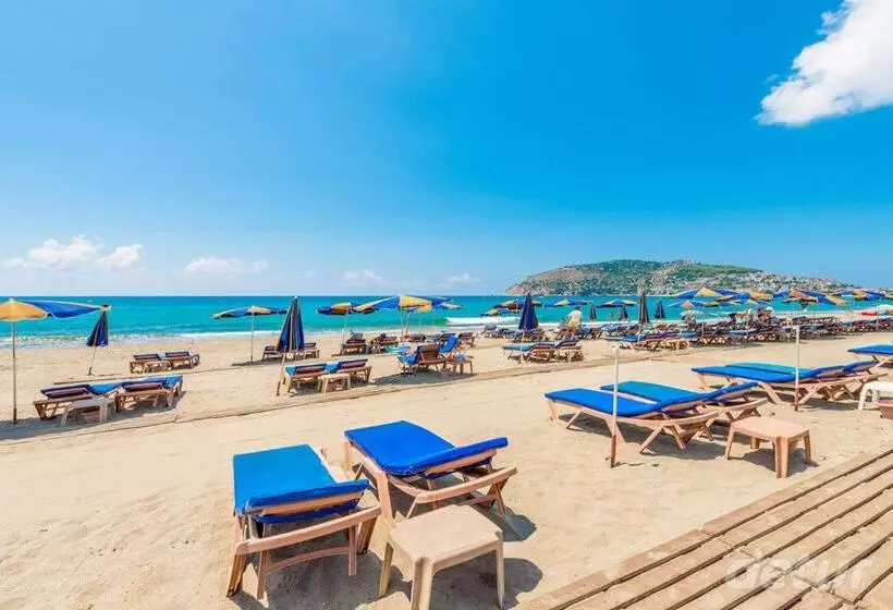 ホテル Lavinia Apart