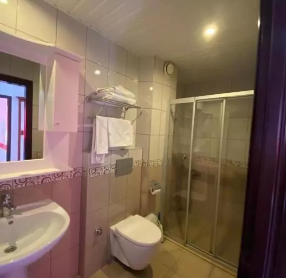 ホテル Lavinia Apart