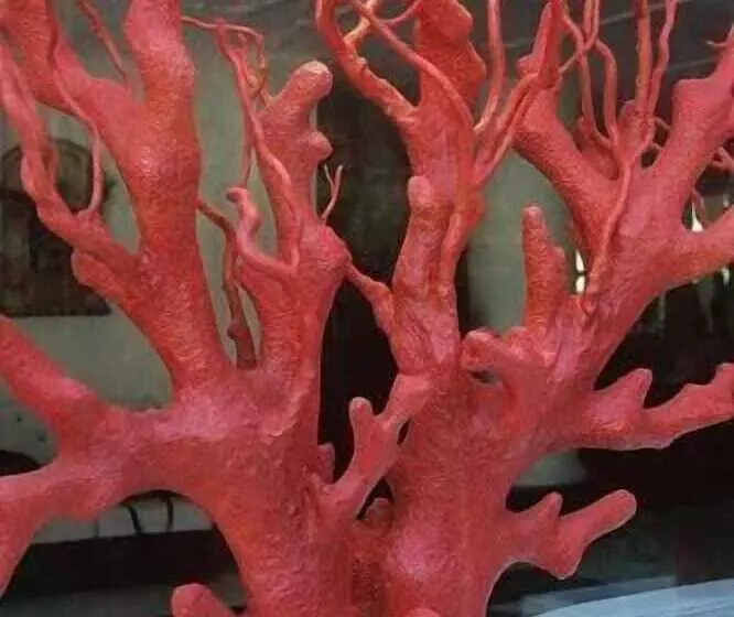 Отель M Glamour