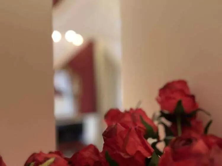 هتل Ruzzini Palace