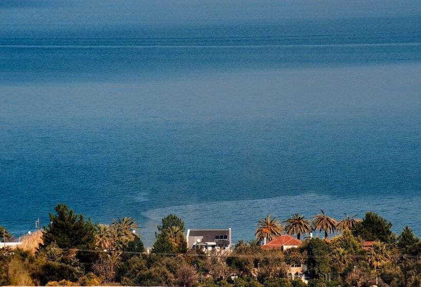 ホテル Seacret Apartments