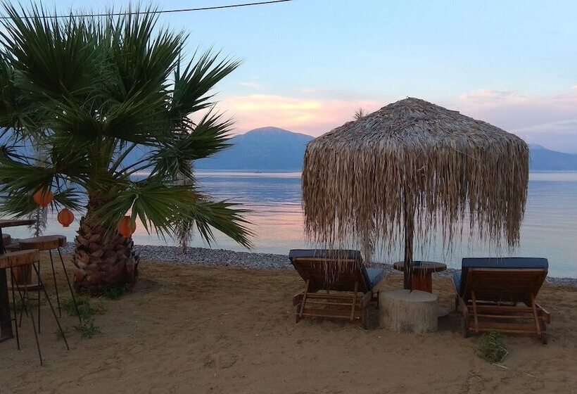 ホテル Seacret Apartments