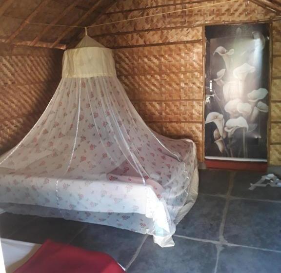 ペンション Hampi Nature Cottage