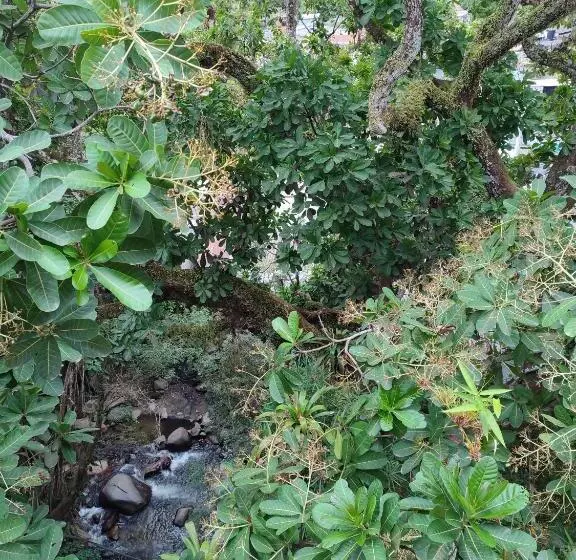 ペンション Hostal Los Wichos