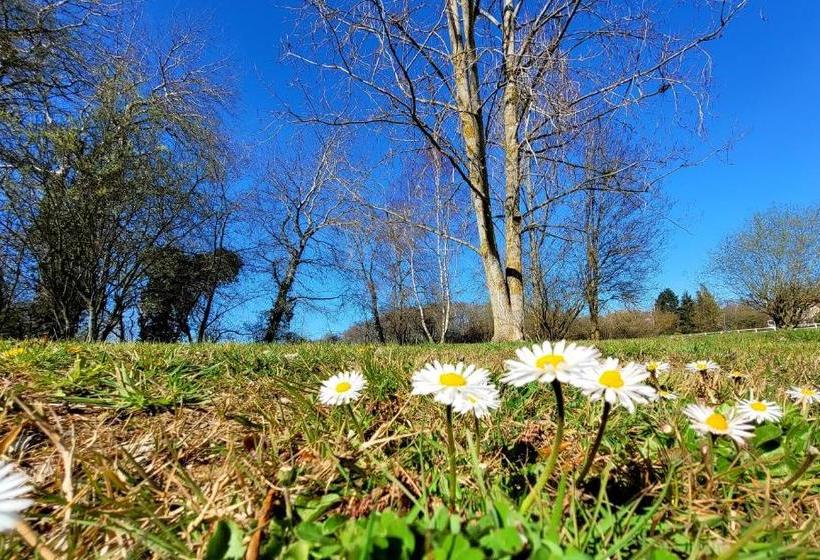 فندق La Grande Bruyere