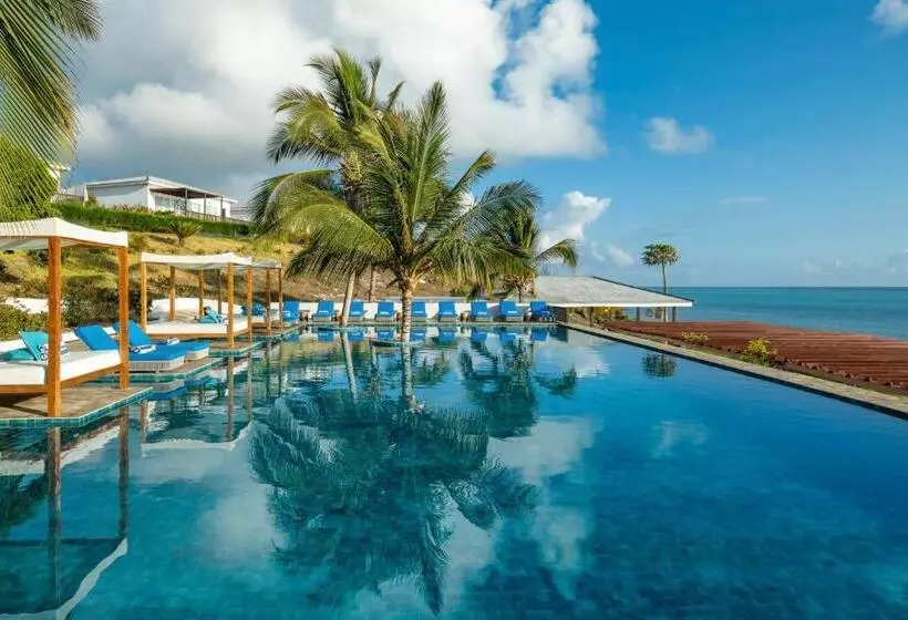 Le Mersenne Zanzibar, Autograph Collection