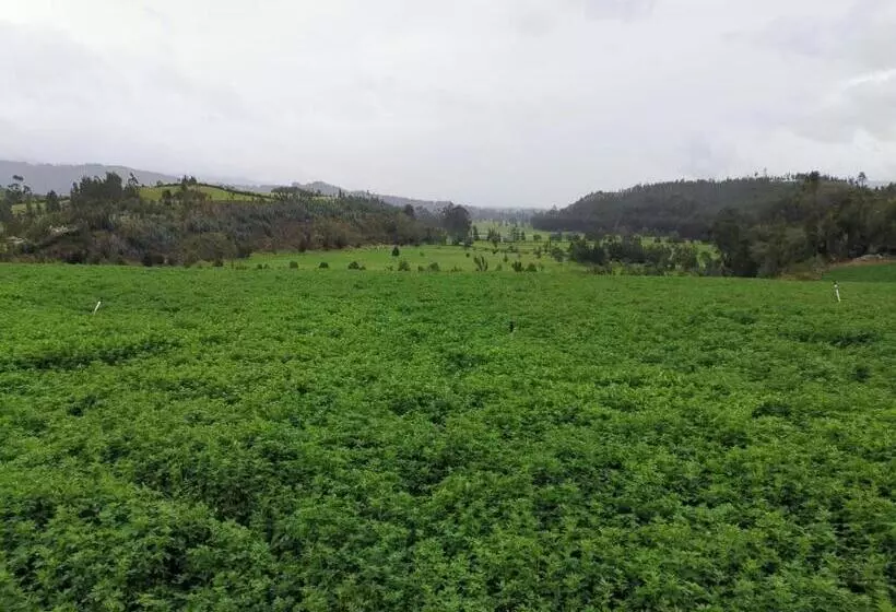 ホテル Lujosa Casa Quinta En Naturaleza Andina