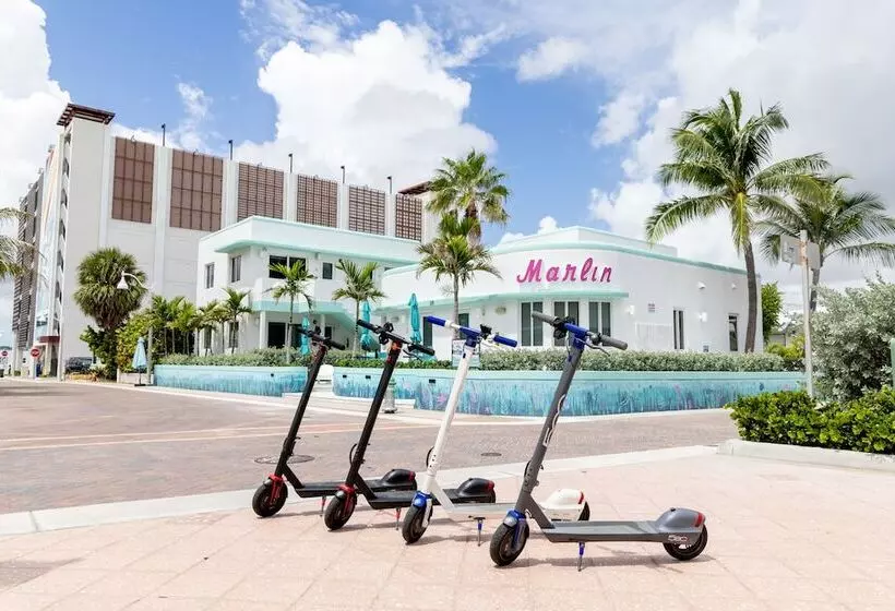 The Marlin Beachside