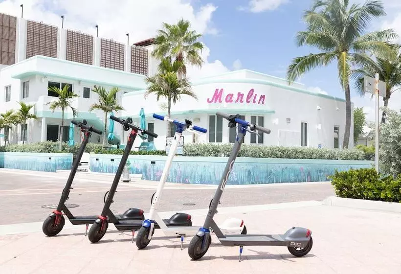 The Marlin Beachside