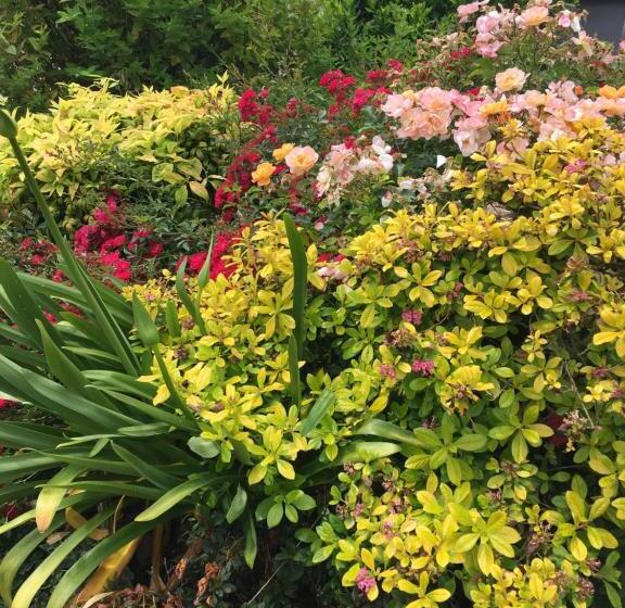 ベッドアンドブレックファースト Maison D'hôtes La Marie Pierre