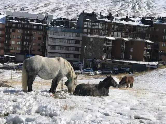 هتل Kathmandu