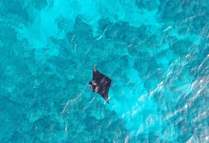 Pensiune Shoreline Grand