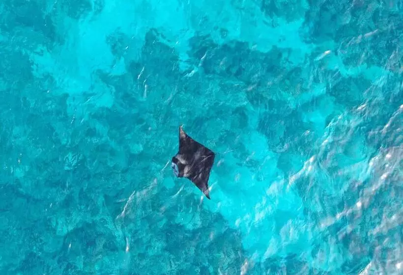 پانسیون Shoreline Grand