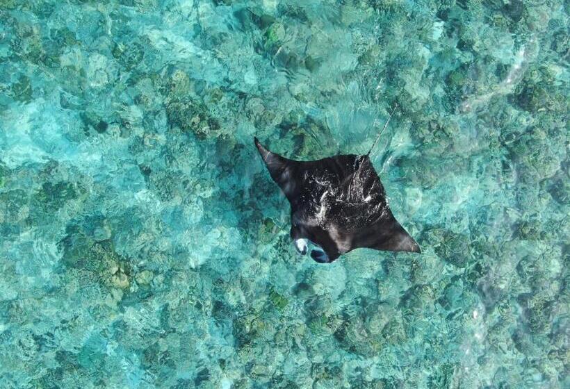 Pensiune Shoreline Grand