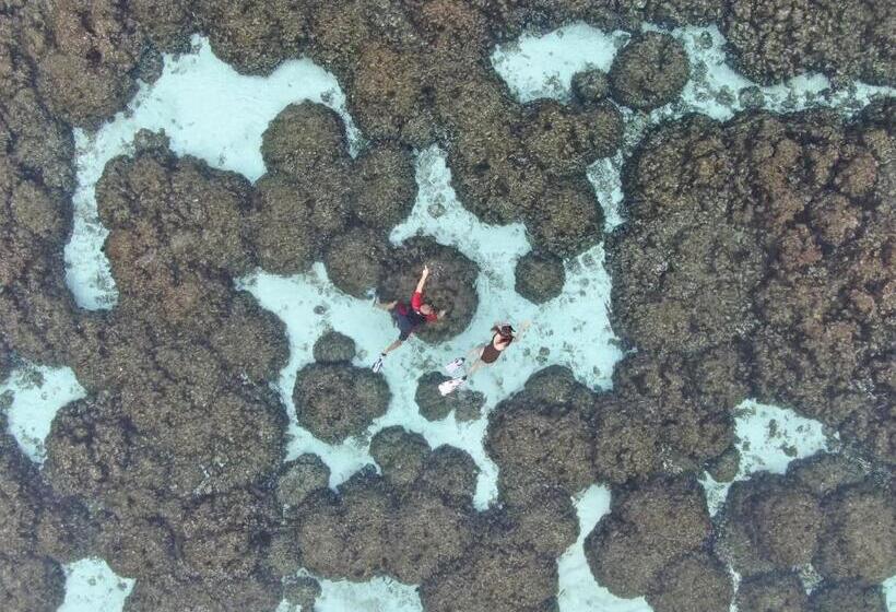 Pensiune Shoreline Grand