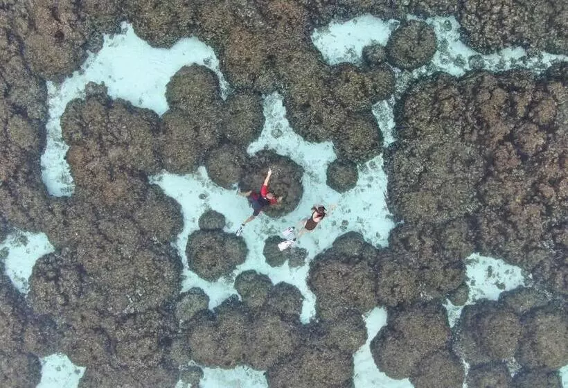 پانسیون Shoreline Grand